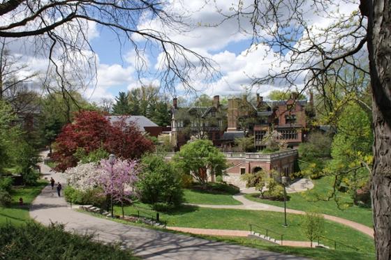 Redbrick academic buildings on Chatham University's Shadyside campus are framed by colorful budding trees 和 green grass. 